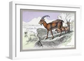 The Ecagus-John Stewart-Framed Art Print