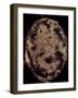 The Eclipse-Petr Strnad-Framed Photographic Print