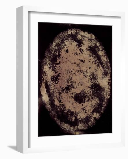 The Eclipse-Petr Strnad-Framed Photographic Print