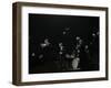 The Eddie Condon All Stars on Stage at Colston Hall, Bristol, 1957-Denis Williams-Framed Photographic Print