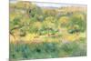 The Edge of a Forest in Brittany, 1893-Pierre-Auguste Renoir-Mounted Giclee Print