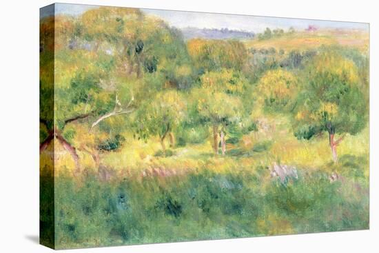 The Edge of a Forest in Brittany, 1893-Pierre-Auguste Renoir-Stretched Canvas