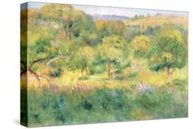 The Edge of a Forest in Brittany, 1893-Pierre-Auguste Renoir-Stretched Canvas