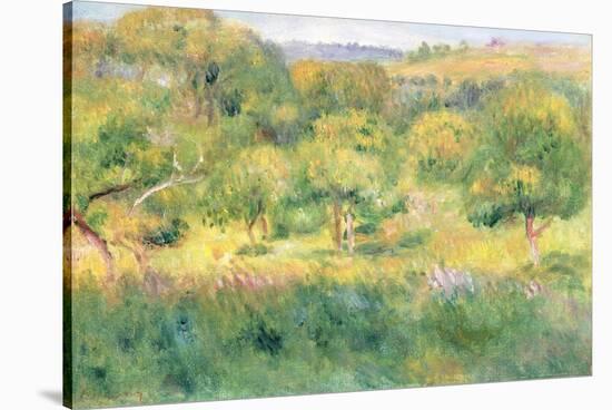 The Edge of a Forest in Brittany, 1893-Pierre-Auguste Renoir-Stretched Canvas