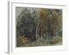 The Edge of a Wood at Nohant, C. 1842-1843 (W/C)-Ferdinand Victor Eugene Delacroix-Framed Giclee Print