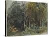 The Edge of a Wood at Nohant, C. 1842-1843 (W/C)-Ferdinand Victor Eugene Delacroix-Stretched Canvas