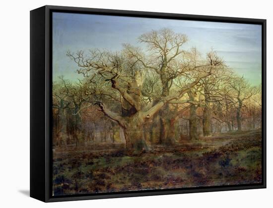 The Edge of Sherwood Forest, 1878-Andrew Maccallum-Framed Stretched Canvas