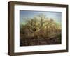 The Edge of Sherwood Forest, 1878-Andrew Maccallum-Framed Giclee Print