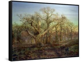 The Edge of Sherwood Forest, 1878-Andrew Maccallum-Framed Stretched Canvas