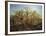 The Edge of Sherwood Forest, 1878-Andrew Maccallum-Framed Giclee Print