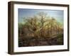 The Edge of Sherwood Forest, 1878-Andrew Maccallum-Framed Giclee Print