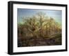 The Edge of Sherwood Forest, 1878-Andrew Maccallum-Framed Giclee Print