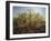 The Edge of Sherwood Forest, 1878-Andrew Maccallum-Framed Giclee Print