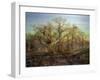 The Edge of Sherwood Forest, 1878-Andrew Maccallum-Framed Giclee Print