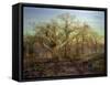 The Edge of Sherwood Forest, 1878-Andrew Maccallum-Framed Stretched Canvas