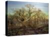 The Edge of Sherwood Forest, 1878-Andrew Maccallum-Stretched Canvas