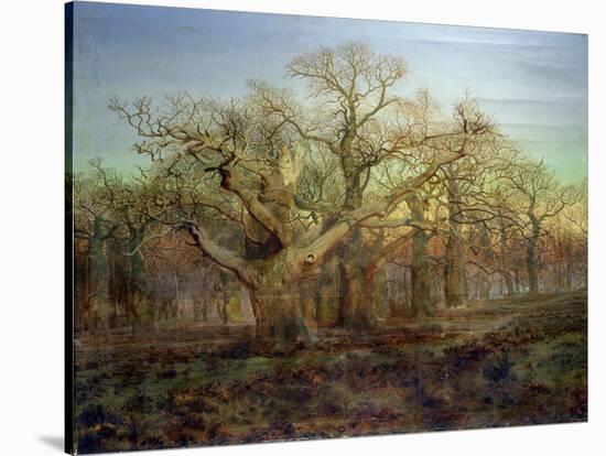 The Edge of Sherwood Forest, 1878-Andrew Maccallum-Stretched Canvas