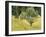 The Edge of the Forest, C.1887-92-Theodore Robinson-Framed Giclee Print