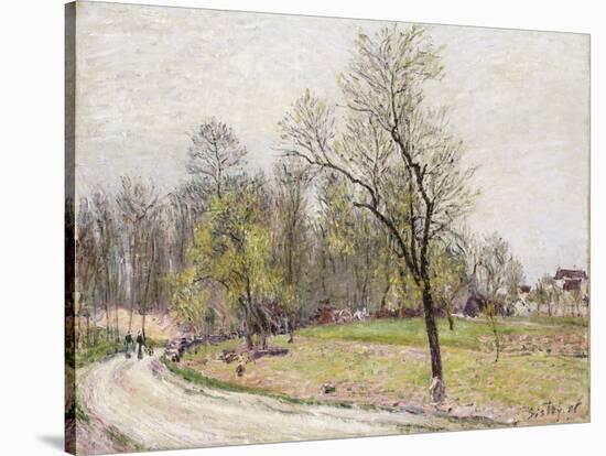 The Edge of the Forest in Spring, in Evening-Alfred Sisley-Stretched Canvas