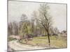 The Edge of the Forest in Spring, in Evening-Alfred Sisley-Mounted Giclee Print