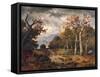 The Edge of the Forest-null-Framed Stretched Canvas