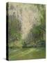 The Edge of the Wood-Timothy Easton-Stretched Canvas