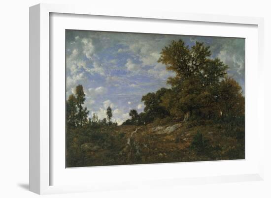 The Edge of the Woods at Monts-Girard, Fontainebleau Forest, 1852-54-Theodore Rousseau-Framed Giclee Print