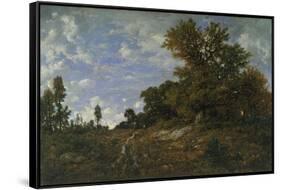 The Edge of the Woods at Monts-Girard, Fontainebleau Forest, 1852-54-Theodore Rousseau-Framed Stretched Canvas