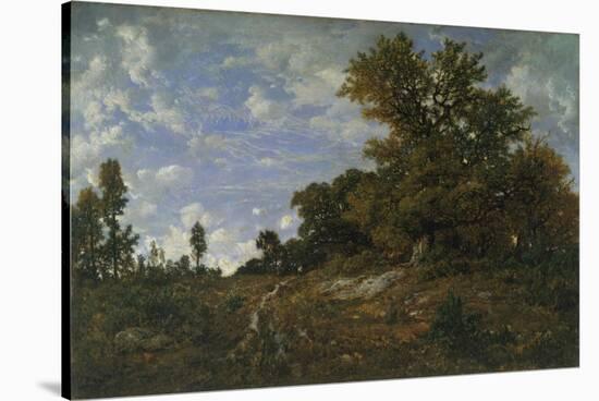 The Edge of the Woods at Monts-Girard, Fontainebleau Forest, 1852-54-Theodore Rousseau-Stretched Canvas