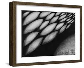 The Edge of the World IV, 1987-Evelyn Williams-Framed Giclee Print