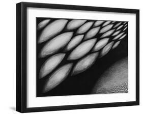 The Edge of the World IV, 1987-Evelyn Williams-Framed Giclee Print