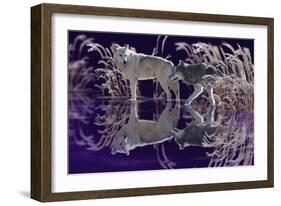 The Edge of Winter-Gordon Semmens-Framed Giclee Print