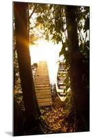 The Edges of Chalalan Lodge Lagoon in Madidi National Park in Bolivia-Sergio Ballivian-Mounted Photographic Print