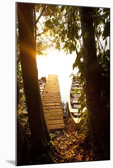 The Edges of Chalalan Lodge Lagoon in Madidi National Park in Bolivia-Sergio Ballivian-Mounted Photographic Print