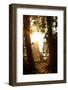 The Edges of Chalalan Lodge Lagoon in Madidi National Park in Bolivia-Sergio Ballivian-Framed Photographic Print