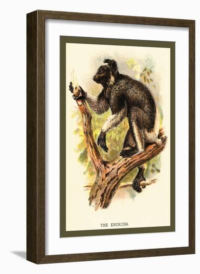 The Edrina-Sir William Jardine-Framed Art Print