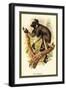 The Edrina-Sir William Jardine-Framed Art Print