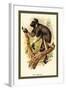 The Edrina-Sir William Jardine-Framed Art Print