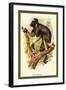 The Edrina-Sir William Jardine-Framed Art Print