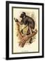 The Edrina-Sir William Jardine-Framed Art Print