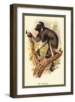 The Edrina-Sir William Jardine-Framed Art Print