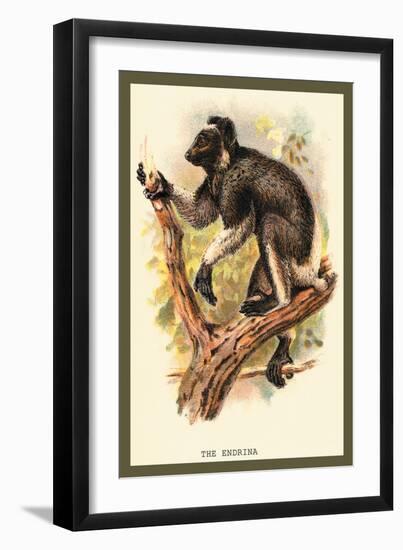 The Edrina-Sir William Jardine-Framed Art Print