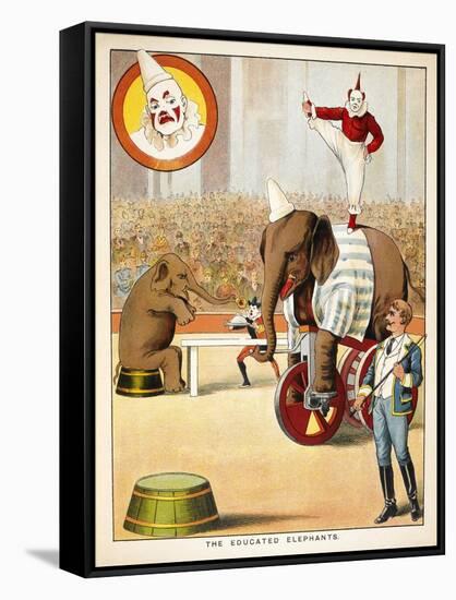 The Educated Elephants'. an Involving Elephants and Clowns in a Circus-null-Framed Stretched Canvas