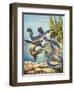 The Eel's Amazing Journey-G. W Backhouse-Framed Giclee Print