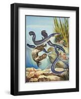 The Eel's Amazing Journey-G. W Backhouse-Framed Giclee Print