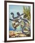 The Eel's Amazing Journey-G. W Backhouse-Framed Giclee Print