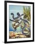 The Eel's Amazing Journey-G. W Backhouse-Framed Giclee Print