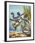 The Eel's Amazing Journey-G. W Backhouse-Framed Giclee Print