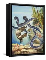 The Eel's Amazing Journey-G. W Backhouse-Framed Stretched Canvas