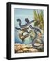 The Eel's Amazing Journey-G. W Backhouse-Framed Giclee Print